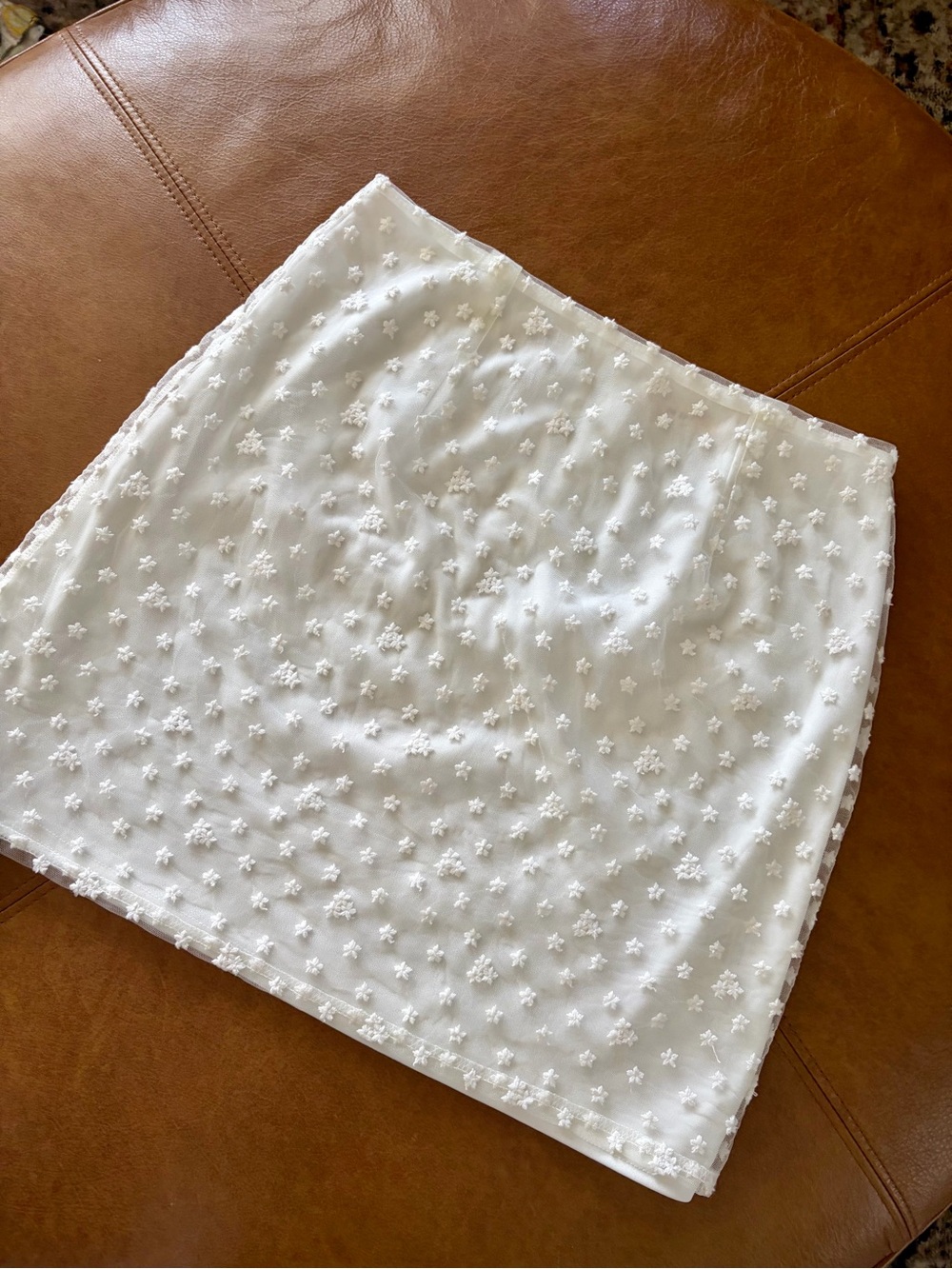 Francesca’s Ivory Embroidered Mesh Mini Skirt